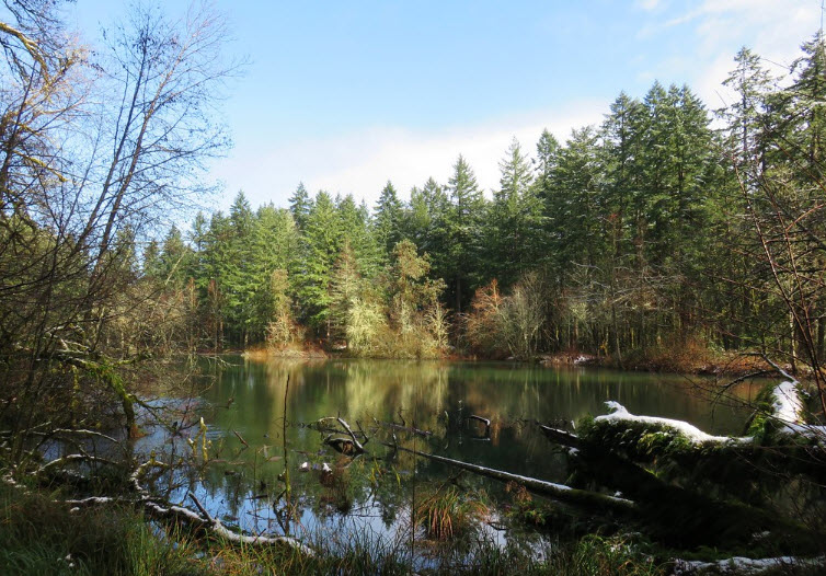 Peavy Arboretum, United States